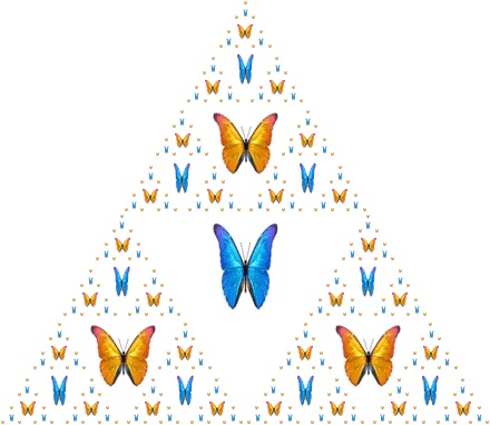 Fractal triangle of blue and golden morpho butterflies