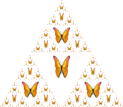Fractal triangle of golden morpho butterflies