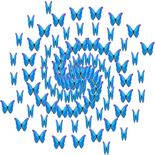 Spiral of blue morpho butterflies