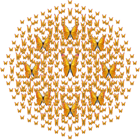 Octagonal fractal of golden morpho butterflies
