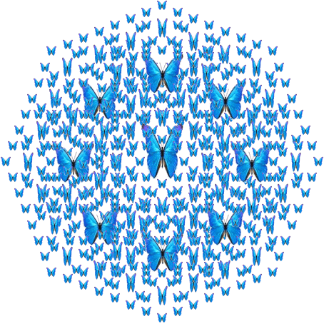 Octagonal fractal of blue morpho butterflies