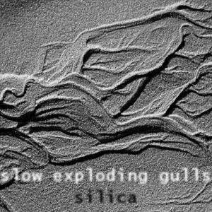 Cover of Silica by Slow Exploding Gulls