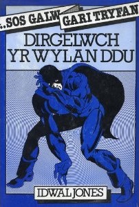 Front cover of Dirgelwch Yr Wylan Ddu by Idwal Jones
