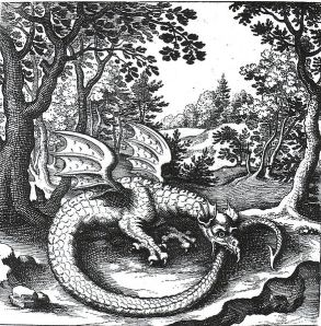 Dragon Ouroboros