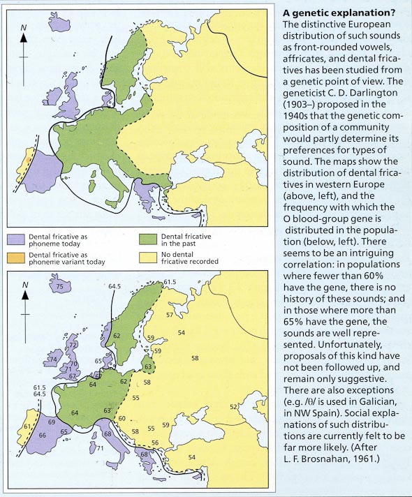 Distribution of dental fricatives and the O blood-group in Europe (from David Crystal's )
