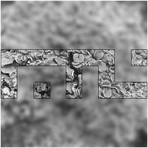 Faster Than Lichen #1 (back cover)