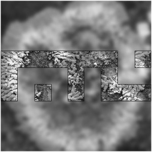 Faster Than Lichen #2 (back cover)