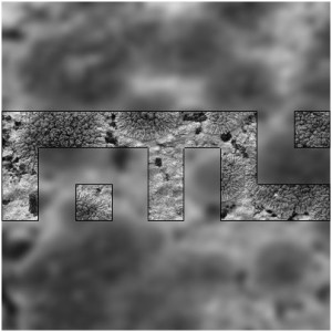 Faster Than Lichen #3 (back cover)