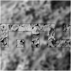 Faster Than Lichen #4 (back cover)