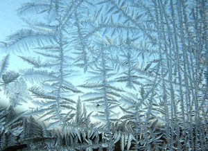 Frost on window (see Kenneth G. Libbrecht, )